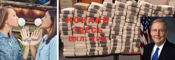 шишки Всеволожск