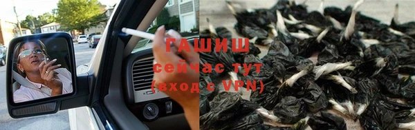 шишки Всеволожск
