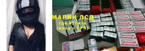 дживик Новозыбков