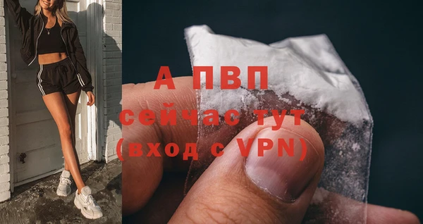 прущий лед Нефтекумск